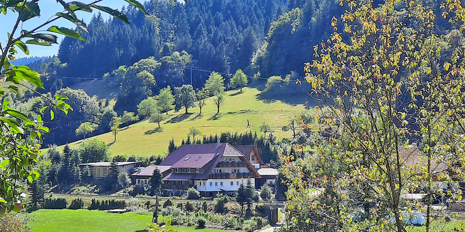 Langenhof - Ferienwohnung, Urlaub auf dem Bauernhof im Schwarzwald – Bild 2