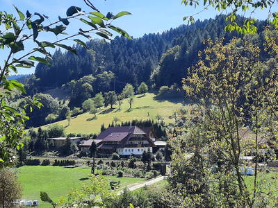 Langenhof - Ferienwohnung, Urlaub auf dem Bauernhof im Schwarzwald – Bild 4