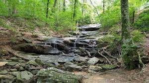 Henderson Park – Bild 3