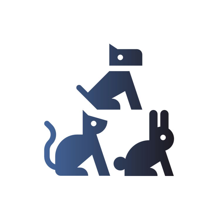 freier Hundeplatz SDL – Bild 3