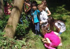 "Wildnis für Kinder-Bochum Mitte" – Bild 4