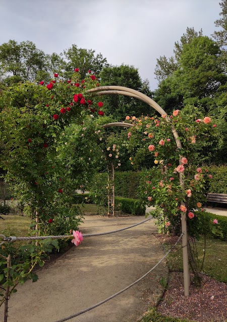 Schönherrpark – Bild 3