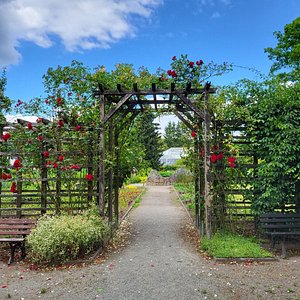 Schönherrpark – Bild 6