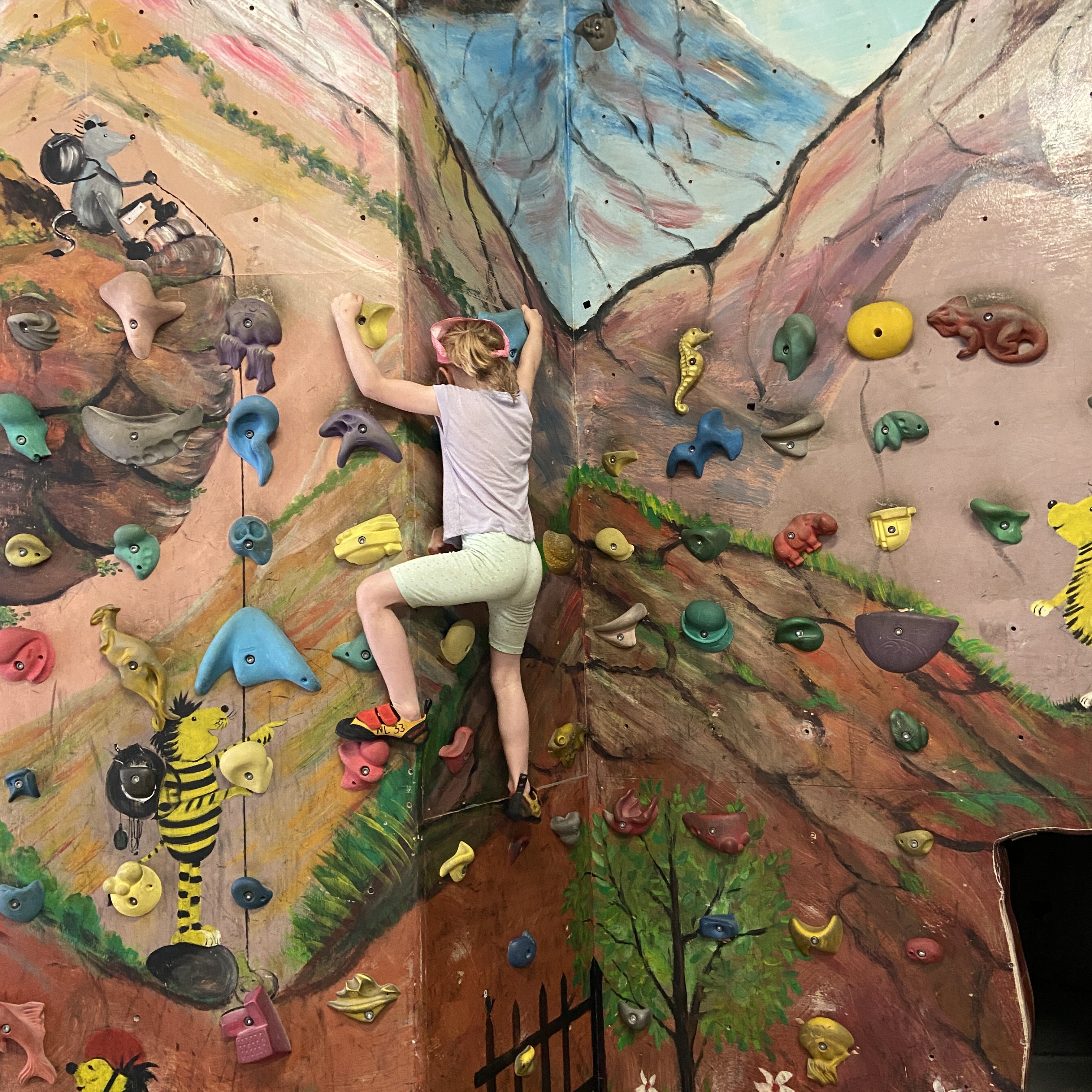 Kletterhalle NO LIMIT – Bild 4