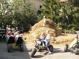 BioGut Rauchhof – Bild 2