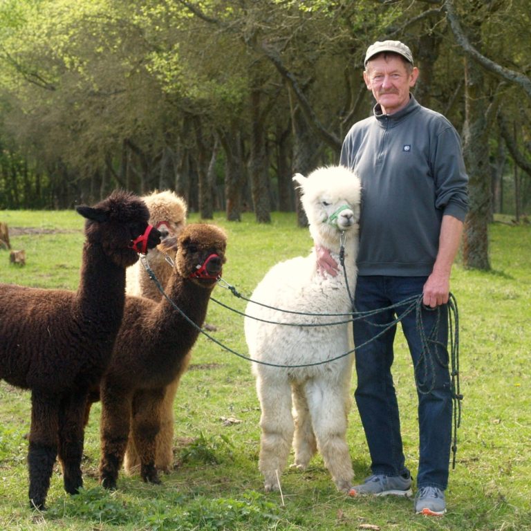 Richy‘s Ranch - Alpaka- & Ziegenhof, Kaffee, Kuchen, Lebensmittel und mehr – Bild 6