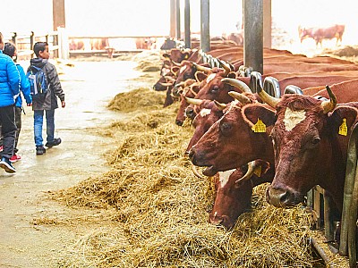 Demeter Hof Bochröder – Bild 2