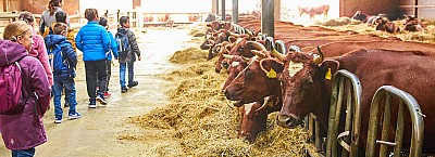 Demeter Hof Bochröder – Bild 5