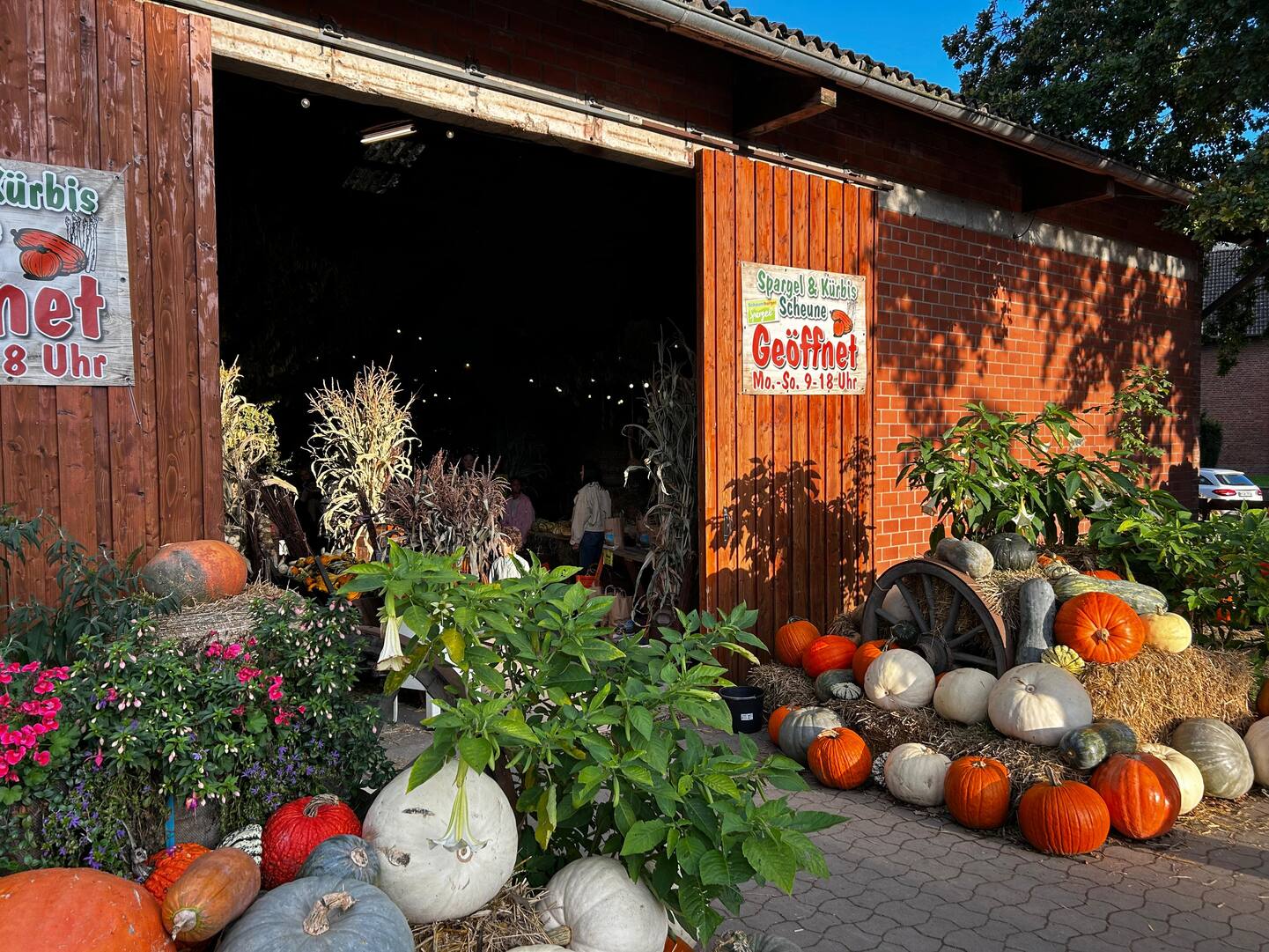 Spargel und Kürbis Scheune – Bild 2