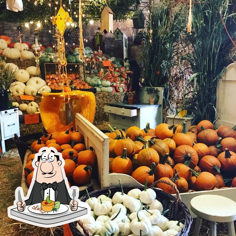 Spargel und Kürbis Scheune – Bild 3