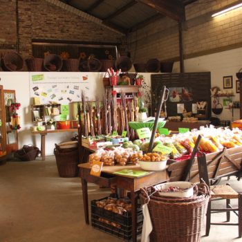 Spargel und Kürbis Scheune – Bild 5