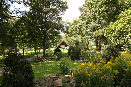 Stadtpark – Bild 3