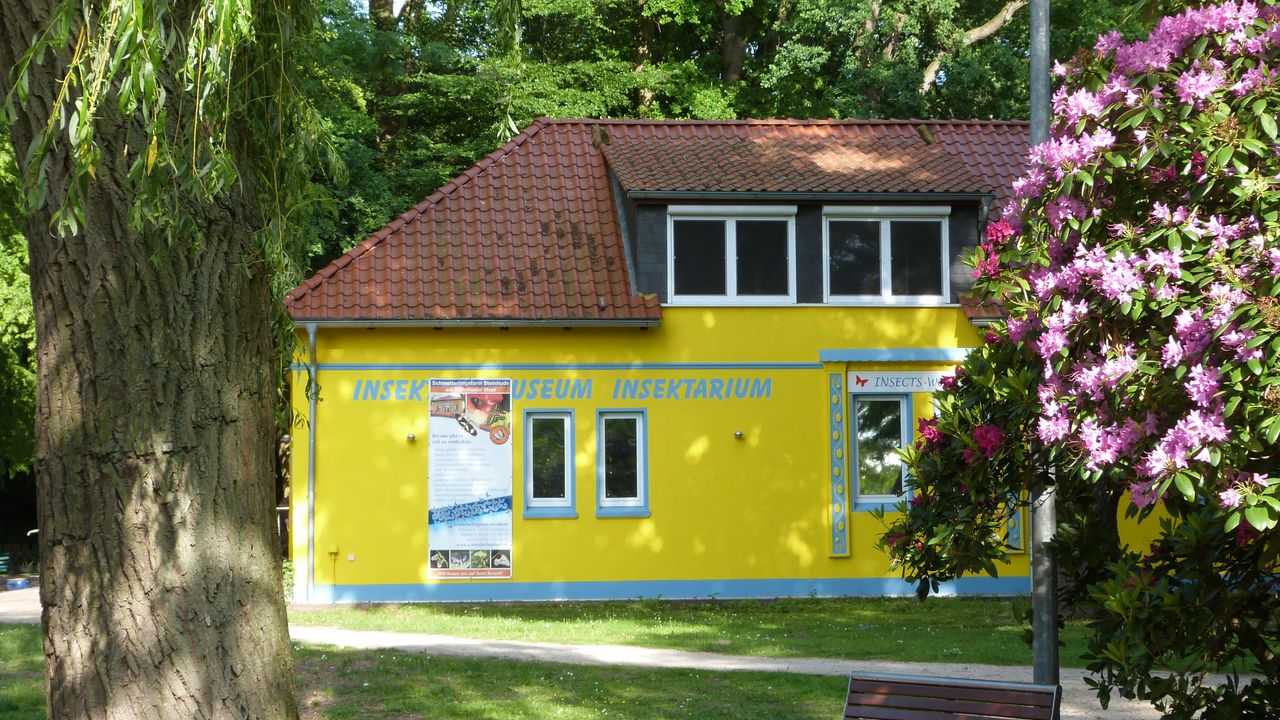 Insektenmuseum und Schmetterlingsfarm Steinhude – Bild 1
