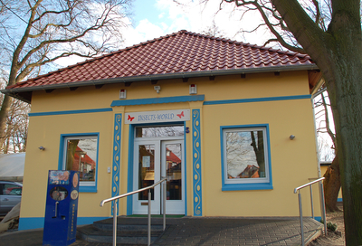 Insektenmuseum und Schmetterlingsfarm Steinhude – Bild 3