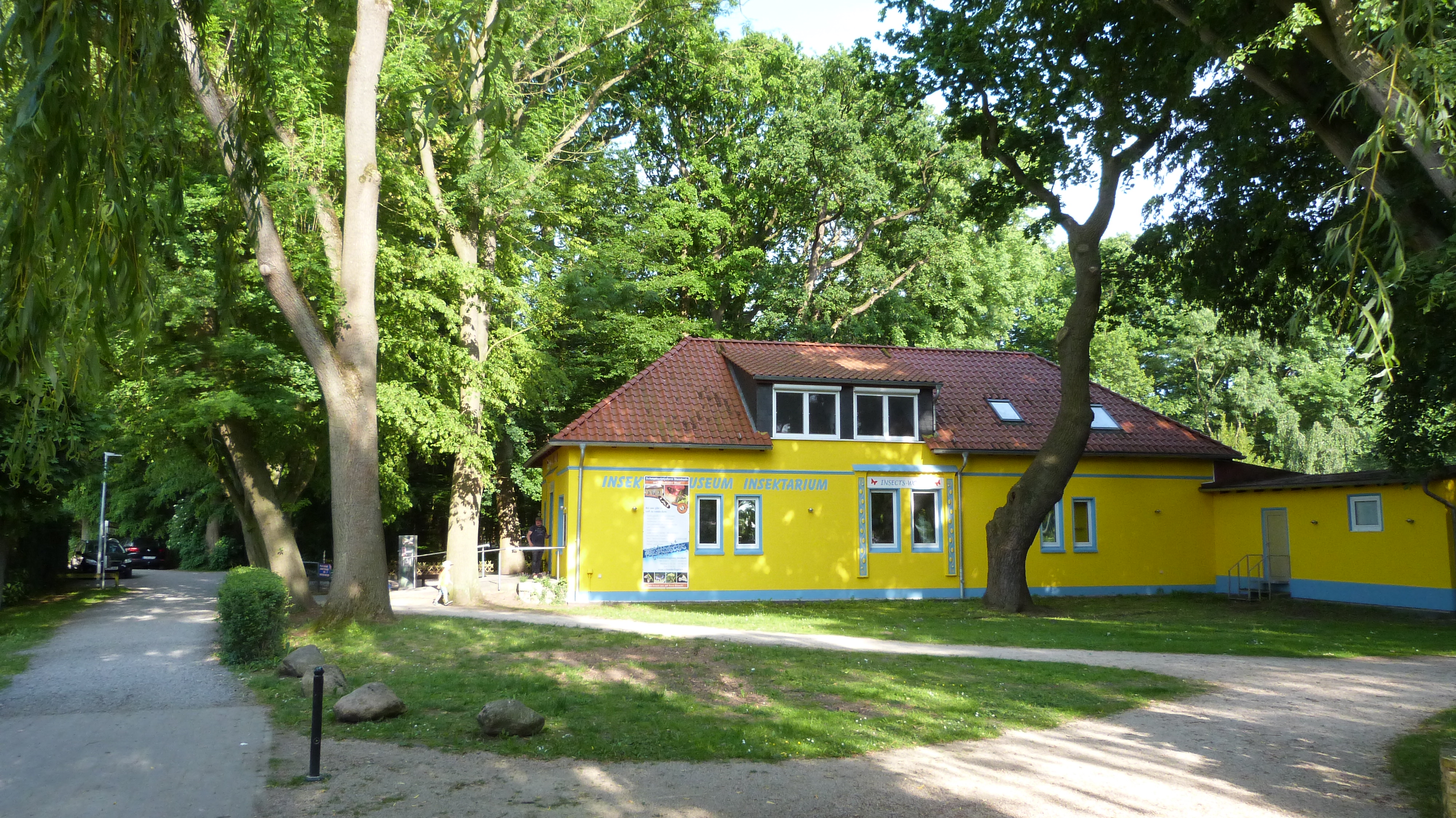 Insektenmuseum und Schmetterlingsfarm Steinhude – Bild 4