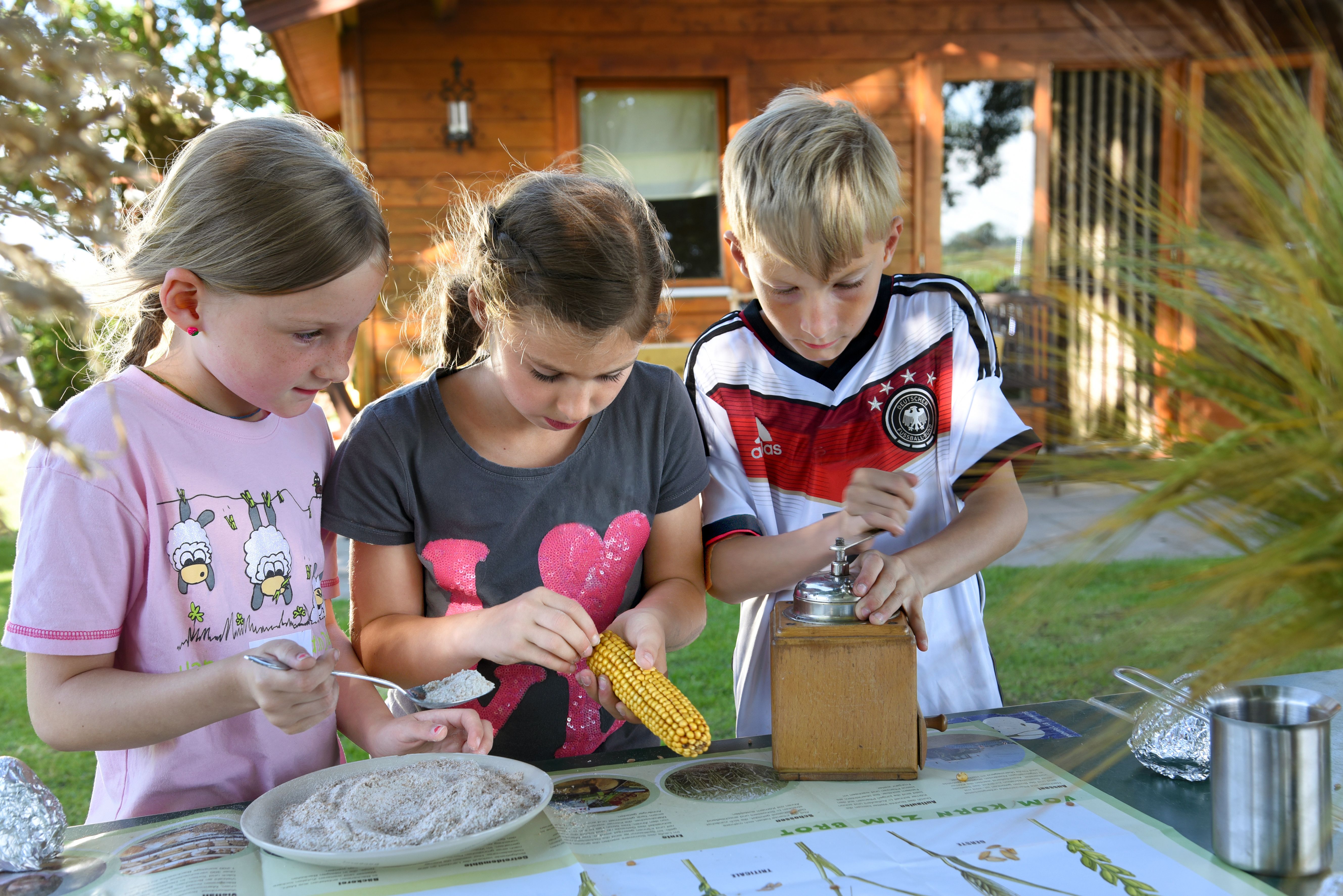 Erlebnisbauernhof Strüven (nur mit vorheriger Anmeldung) // Imkes HOFLADEN (SB 24 Stunden) – Bild 2