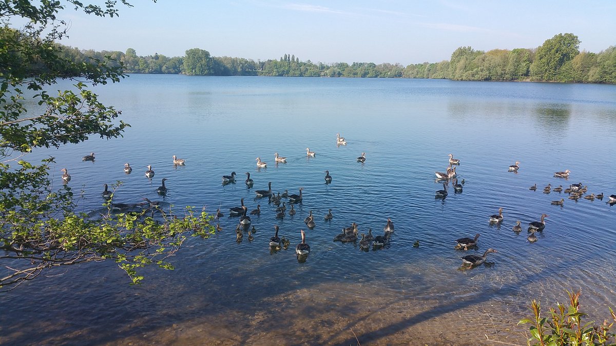 SUNWAKEPARK TOEPPERSEE – Bild 2