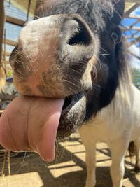 Kalkwerkfarm – Bild 3