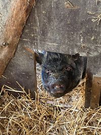 Kalkwerkfarm – Bild 4