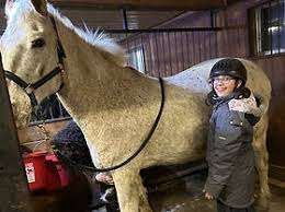 Chava Farms – Bild 4