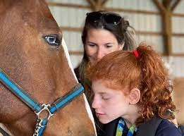 Chava Farms – Bild 5