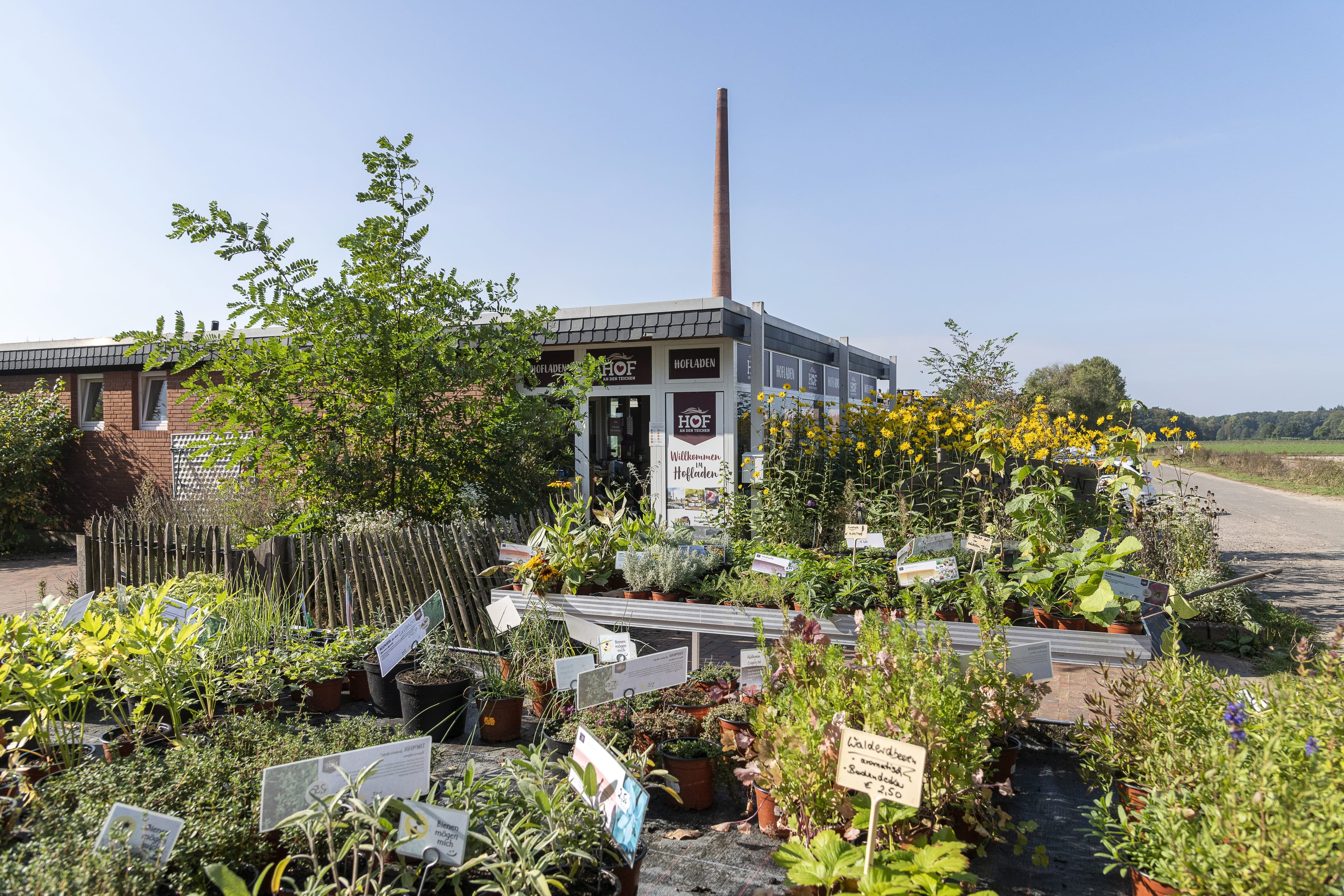 Hof an den Teichen – Bild 2