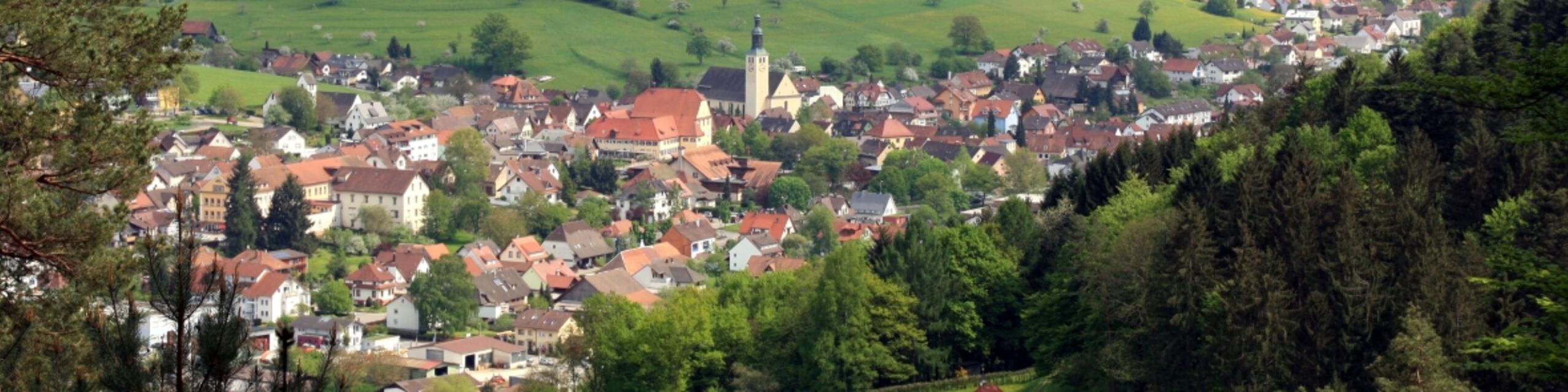 Erlebnis GmbH – Bild 1