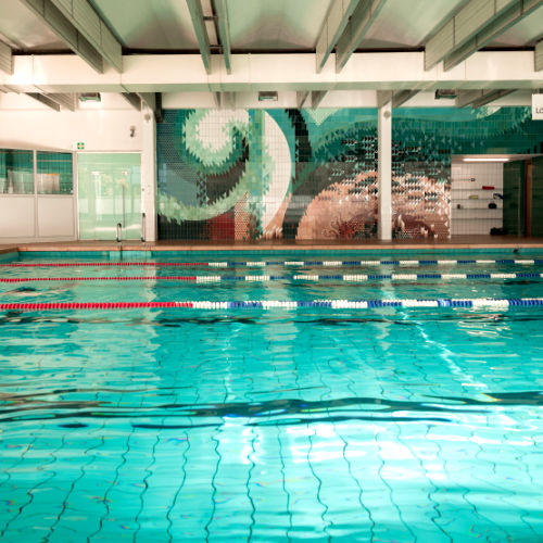 Kroko-Fit Radebeul – Bild 2