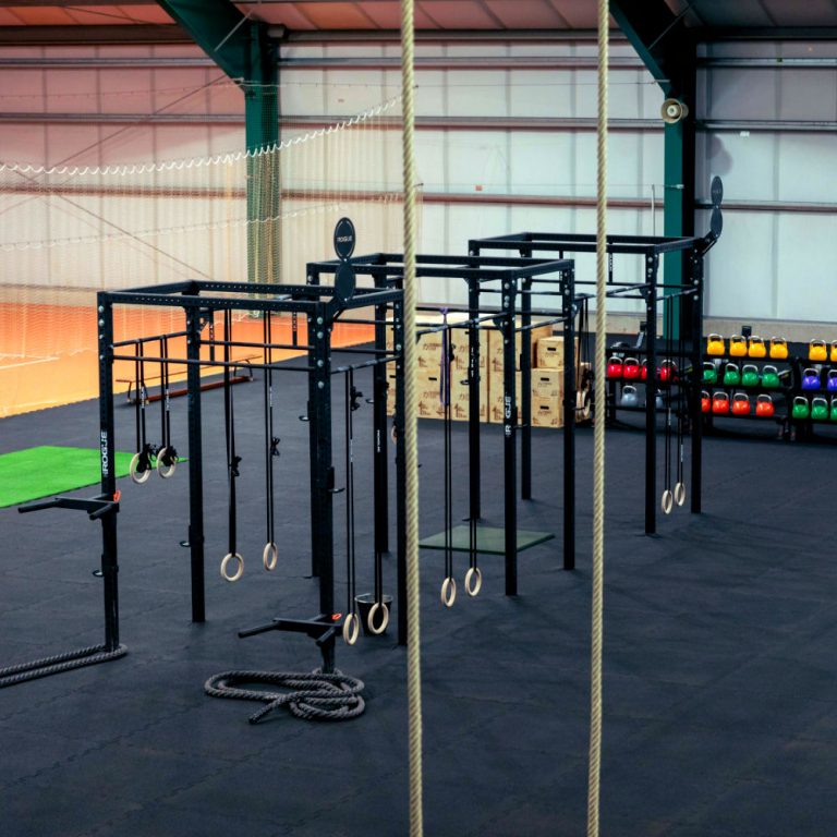 Kroko-Fit Radebeul – Bild 3