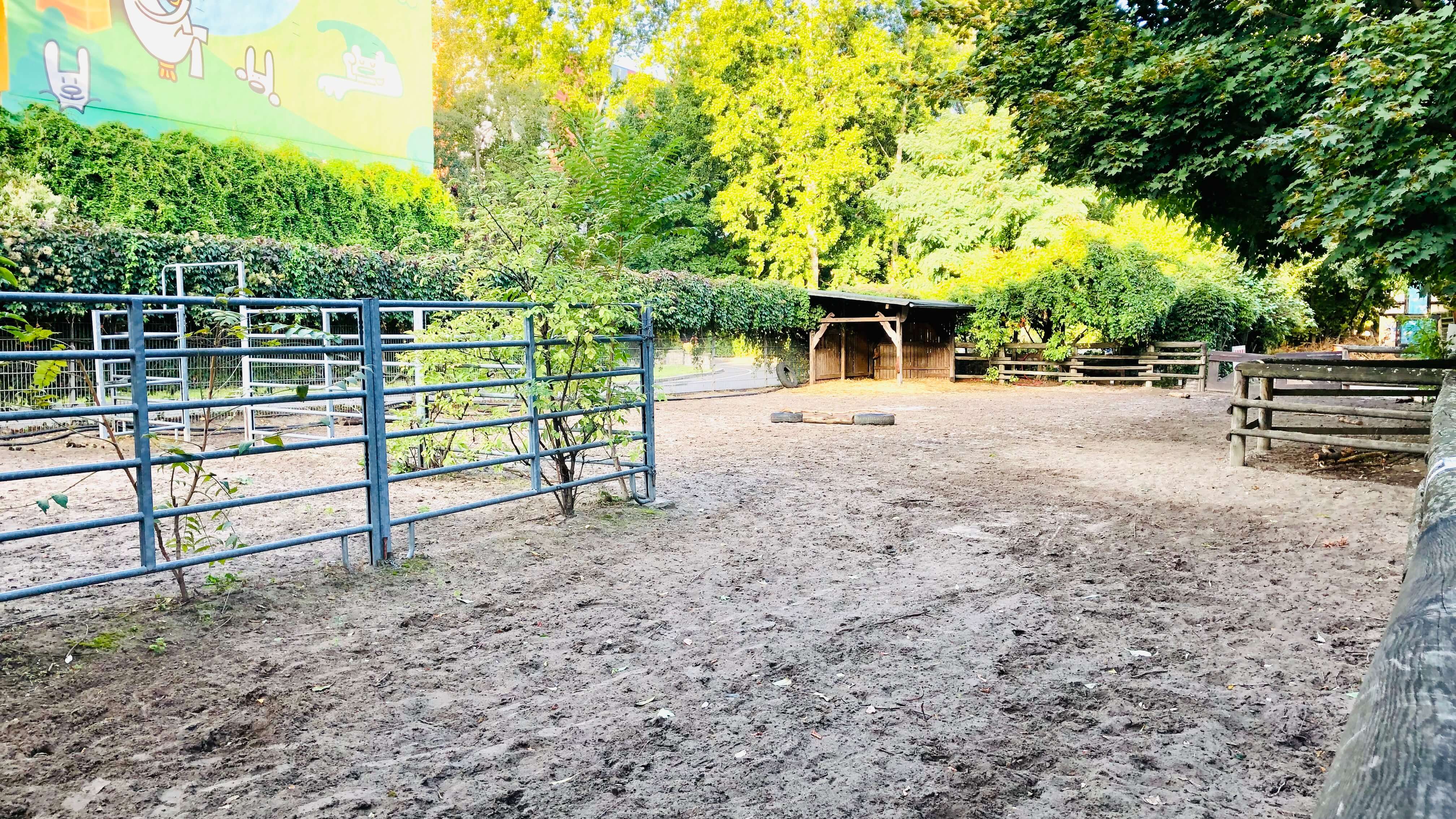 Kinderbauernhof Am Mauerplatz e.V. – Bild 6