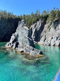 Sgt. Ned Nugent's Field Dog Park – Bild 5