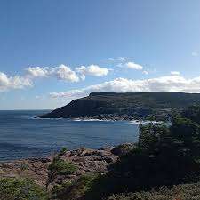 Sgt. Ned Nugent's Field Dog Park – Bild 6