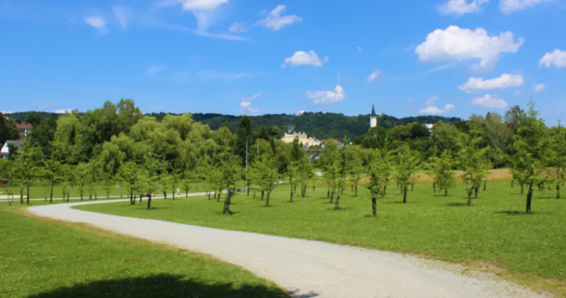 Ginkgo-Park – Bild 4