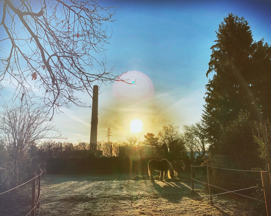 Seelenheilen e.V – Bild 2