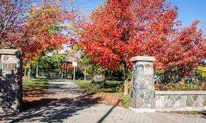 Russell Farm Park – Bild 2