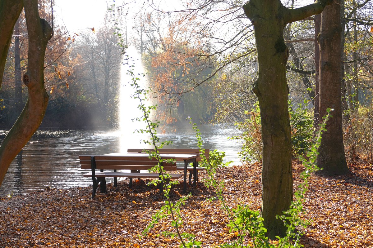 Volksgarten – Bild 1