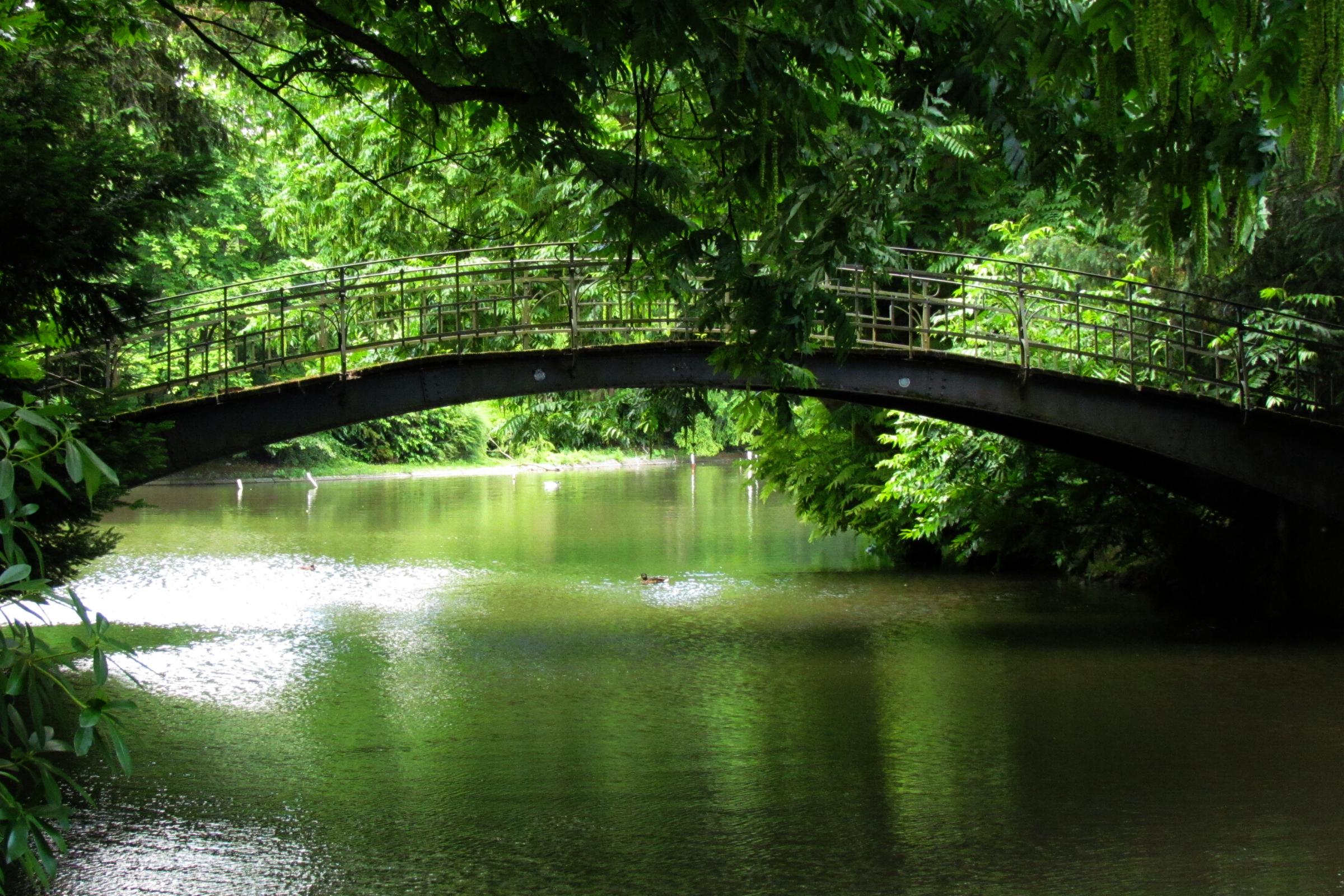 Volksgarten – Bild 6