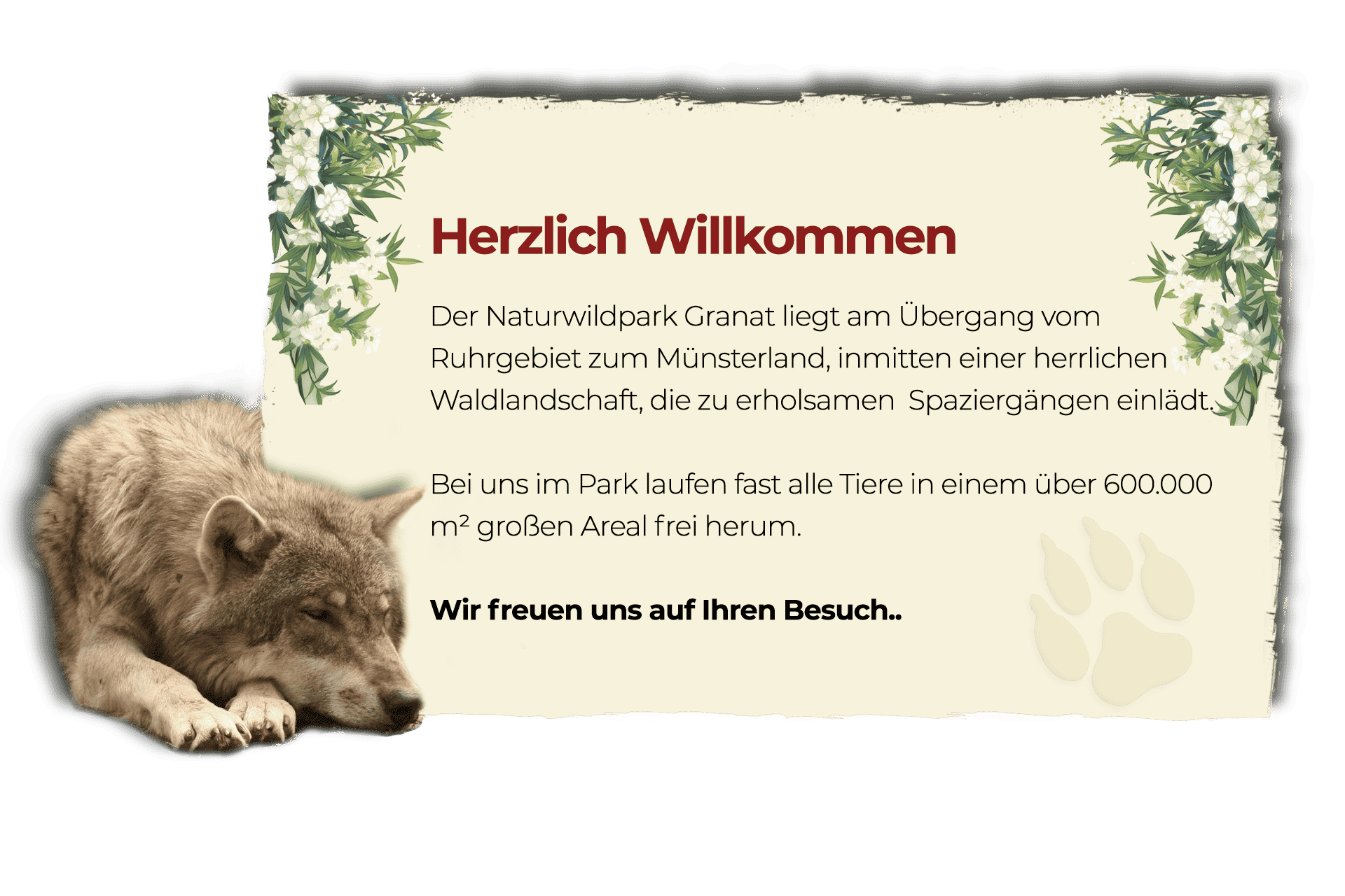 Naturwildpark Granat – Bild 3