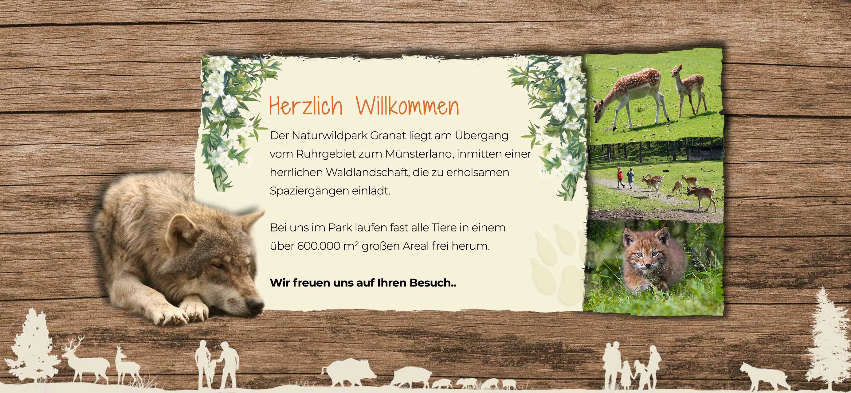 Naturwildpark Granat – Bild 5
