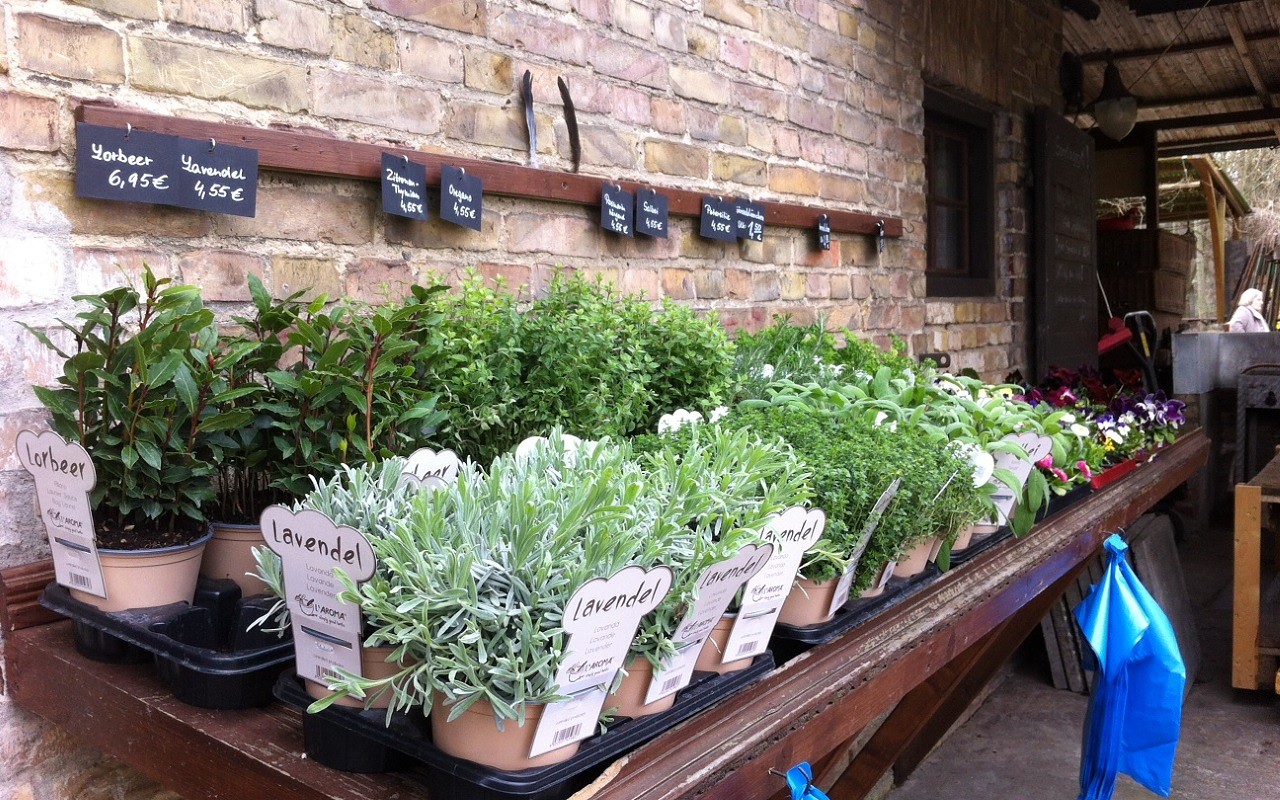 Neumanns Erntegarten – Bild 4