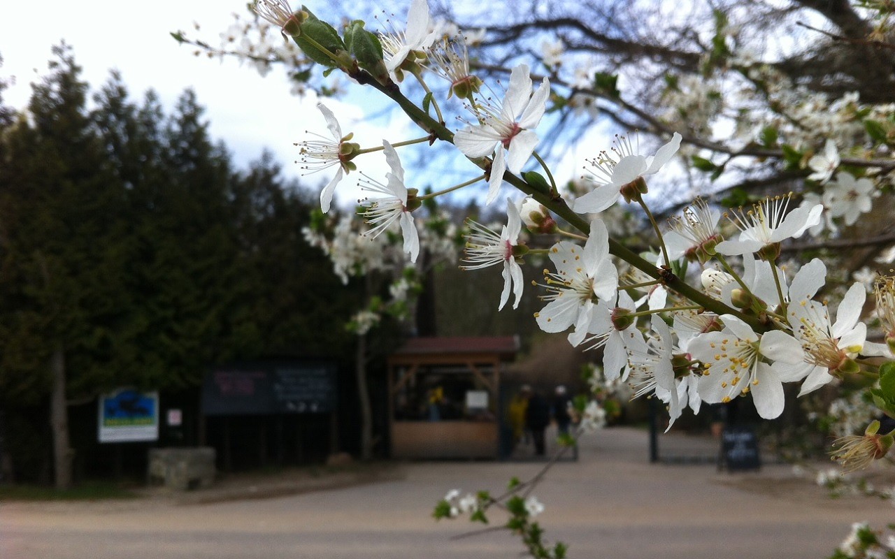 Neumanns Erntegarten – Bild 5