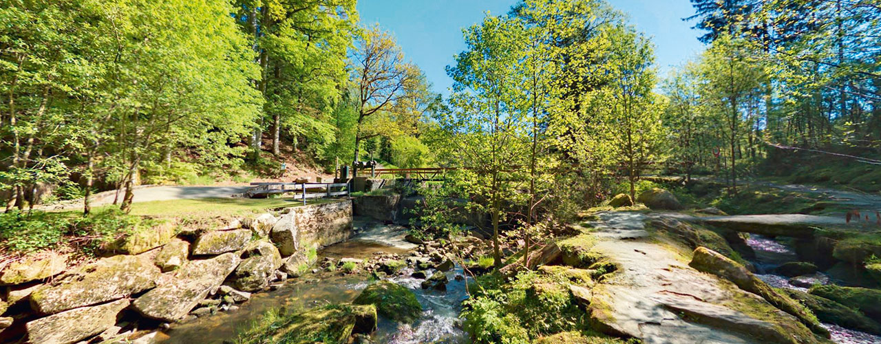 Saußbachklamm – Bild 5