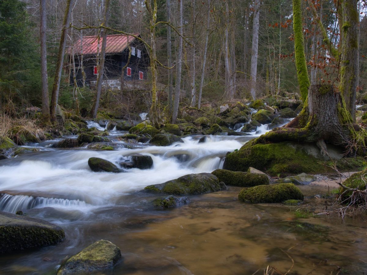 Saußbachklamm – Bild 6