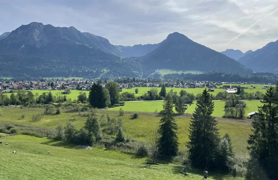 Kleiner Boulderfelsen – Bild 2