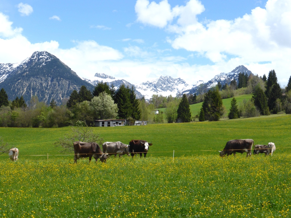 Kleiner Boulderfelsen – Bild 5