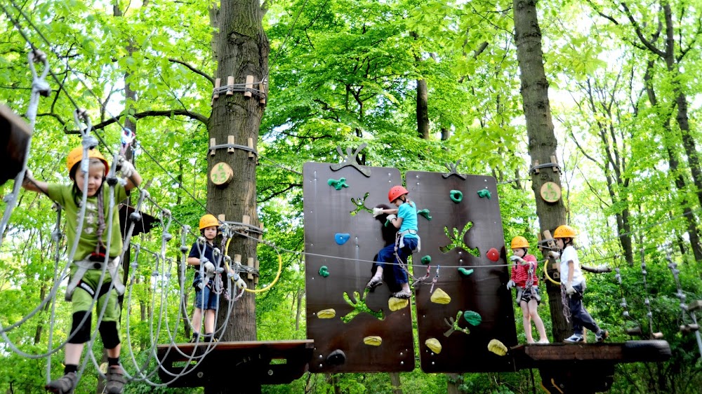 tree2tree Duisburg – Bild 1