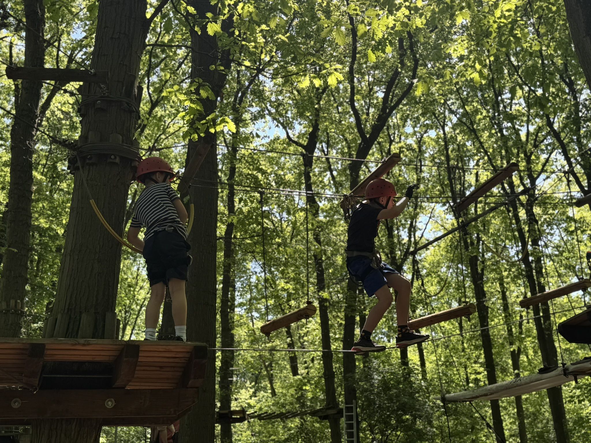 tree2tree Duisburg – Bild 3