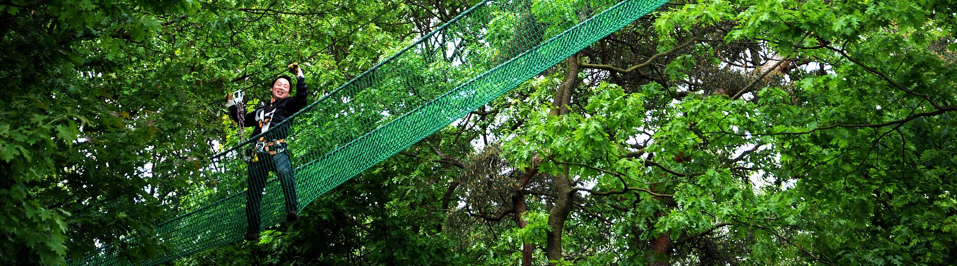 tree2tree Duisburg – Bild 4