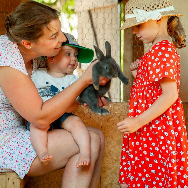 Ferienhof Grieshof – Bild 5