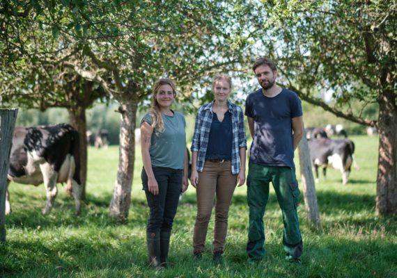 Hof-Medewege oHG – Bild 3